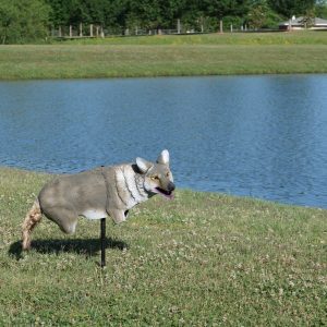 Figure 10. Predator decoys should be as lifelike as possible. For example, a cloth tail that moves in the wind or a decoy that swivels on a stake can increase decoy efficacy.