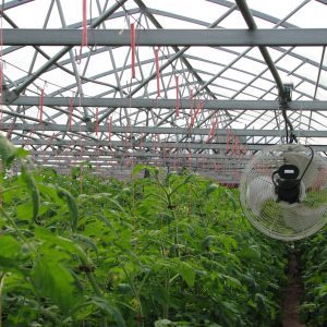 Figure 4. Horizontal air fan (HAF).