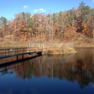 Figure 4. Avoid islands and peninsulas during construction. Here the pond owner has gone as far as installing a chain link fence to exclude persistent nesting geese.