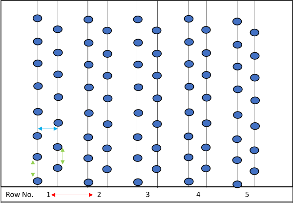 Figure 5. Double-row vertical cordon system with 5 rows.