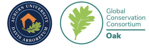 Auburn University Davis Arboretum and GLobal Conservation Consortium—Oaks Logos