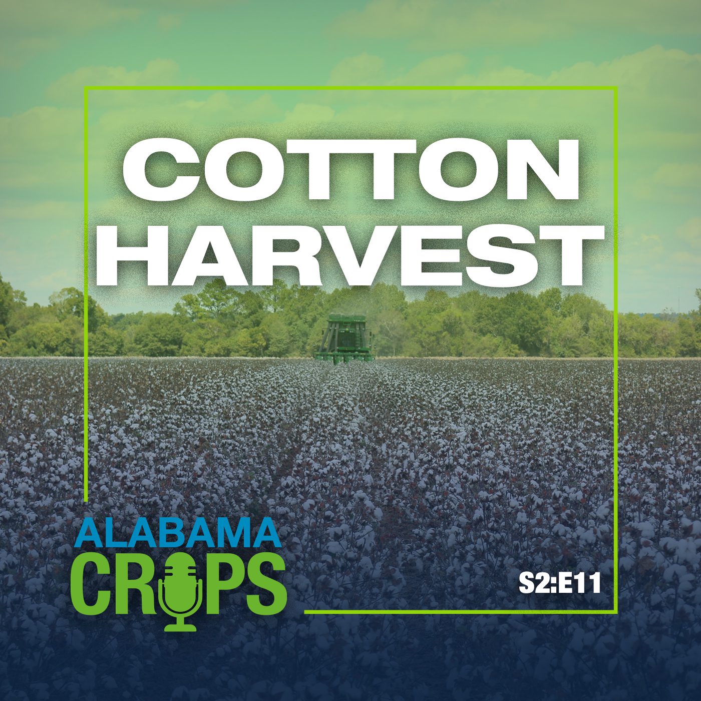 Season 2 Episode 11 - Cotton Harvest