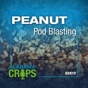 Season 2 Episode 12 - Peanut Pod Blasting