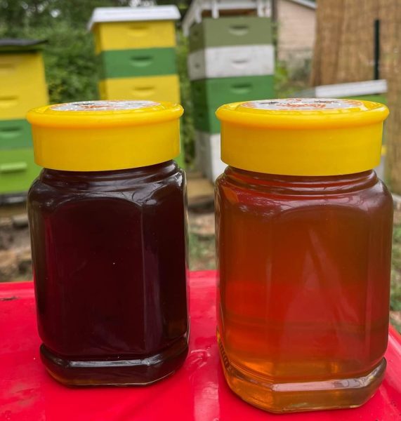 Auburn Honey in Jars