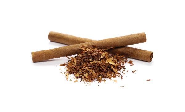 Cigarillos on a white background