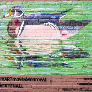 duck mural on brick wall