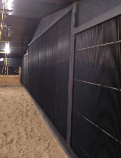 Example of a dark-out “false-wall.” Behind this wall, unseen to the right, are exhaust fans pulling air through it to ventilate the house. The false wall keeps light from entering the house when the fans are operating. Similar components are on every air inlet and exhaust fan in a dark-out pullet house and all must be kept clean and maintained.