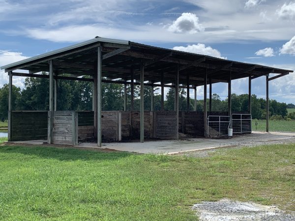 All outbuildings, especially composting and litter sheds, should be closely inspected.