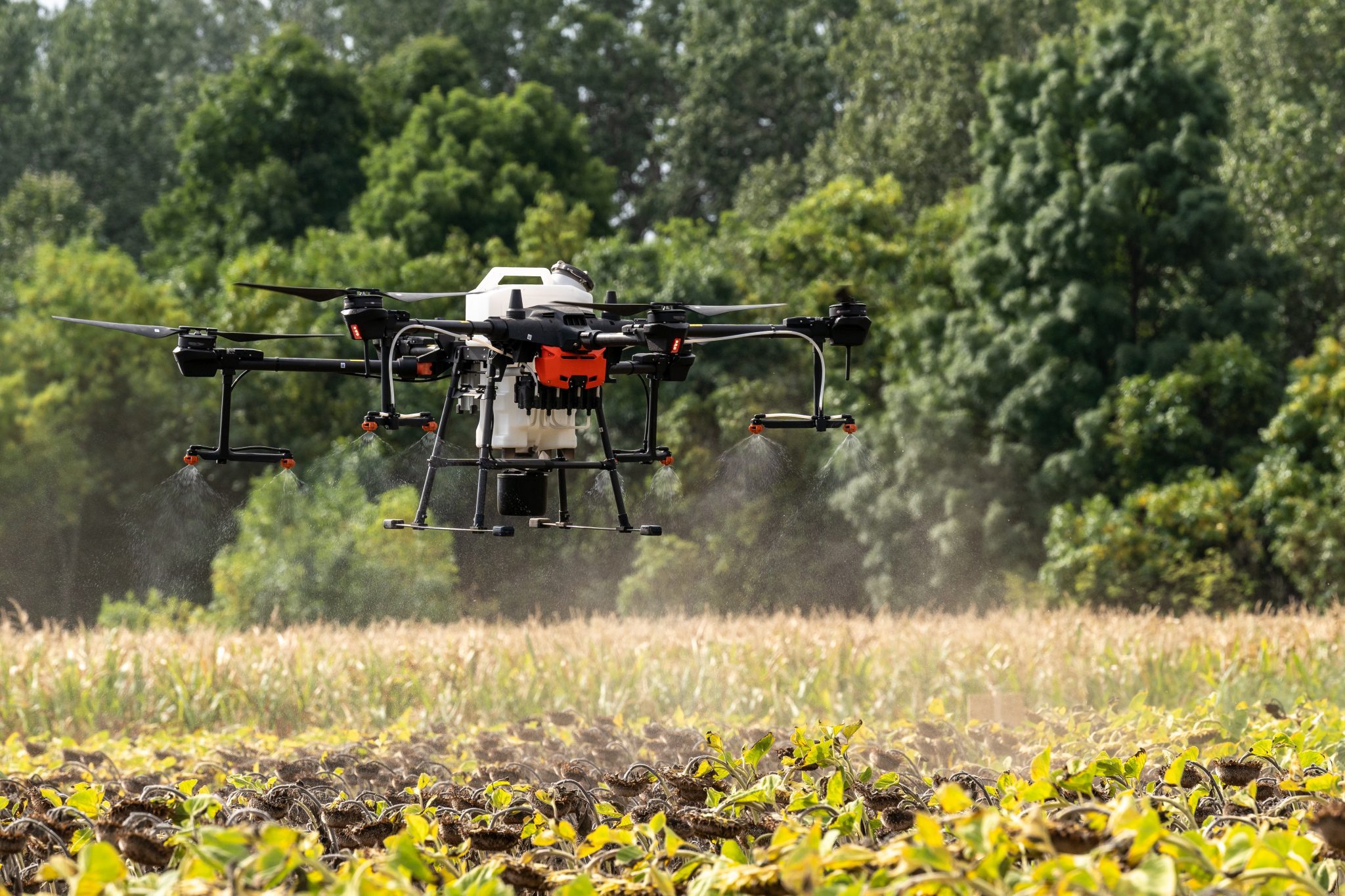 DJI AGRAS drone spraying an agriculture field