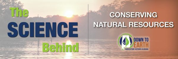 The Science Behind Conserving Natural Resources (Twitter Cover Photo)