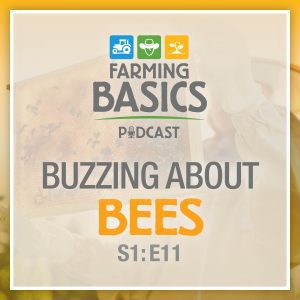 Farming Basics Podcast Episode 11- Buzzing About Bees