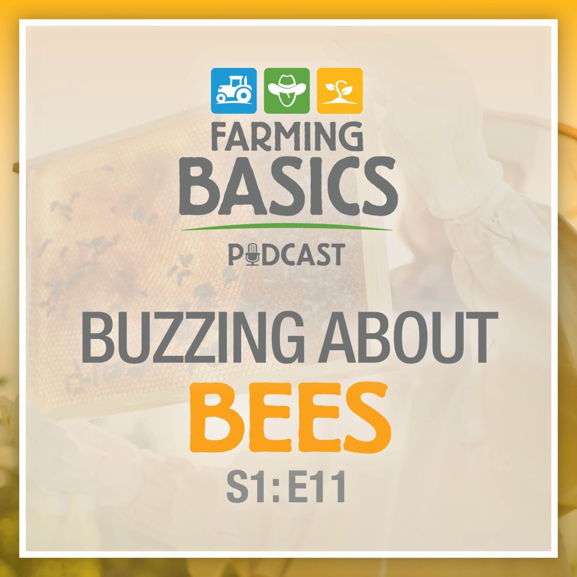 Season 1 Episode 11 – Buzzing About Bees
