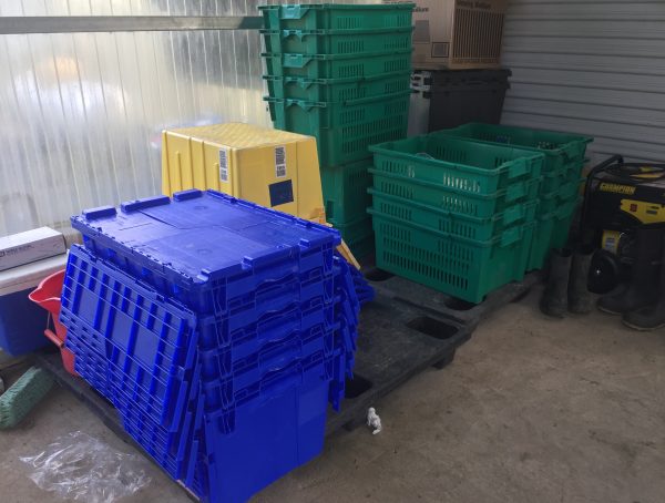 Figure 8. Clean harvesting totes ready for use.
