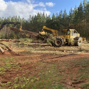 Figure 3a. Skidder taking logging slash from the logging deck to spread on high trafficked and erosion susceptible areas.