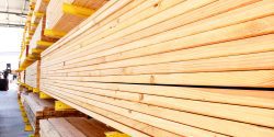 Treated lumber