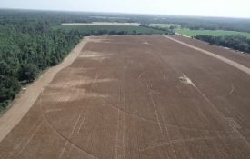 aerial imagery of whitetail deer damage