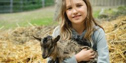 Young girl holding a young goat.