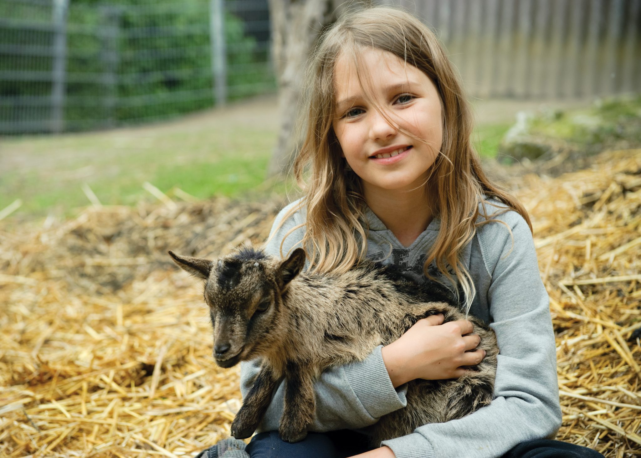 Young girl holding a young goat.