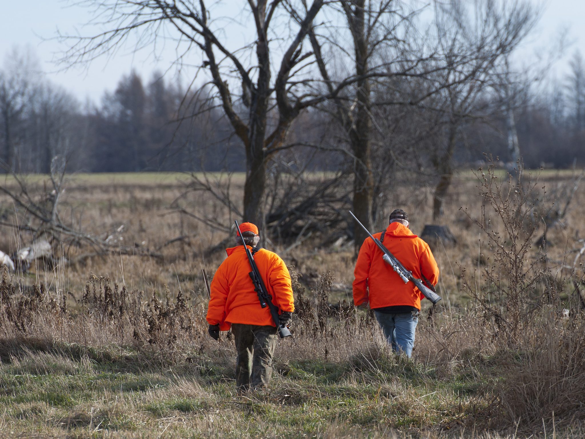 Hunters walking through a field