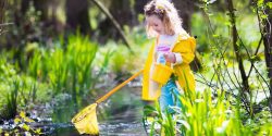 A young child explores a stream.
