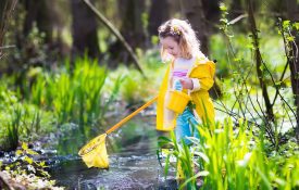 A young child explores a stream.