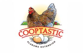 Cooptastic Alabama Extension Graphic