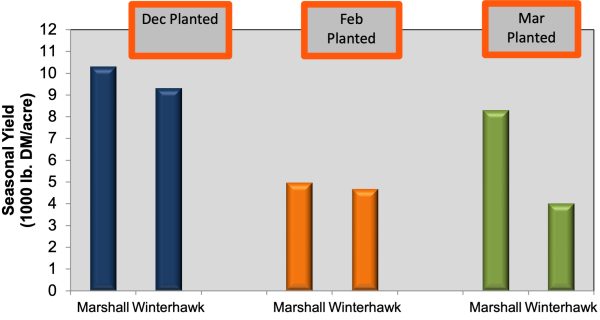 Figure 1. Seasonal yield of late-planted annual ryegrass varieties.
