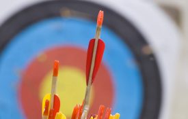 Arrows in front of archery target