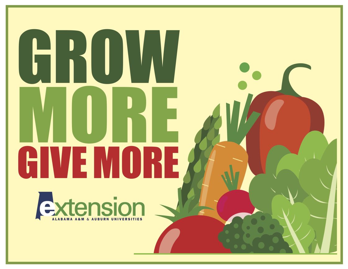 Grow More Give More Graphic