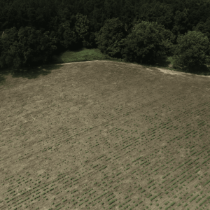 aerial deer damage imagery