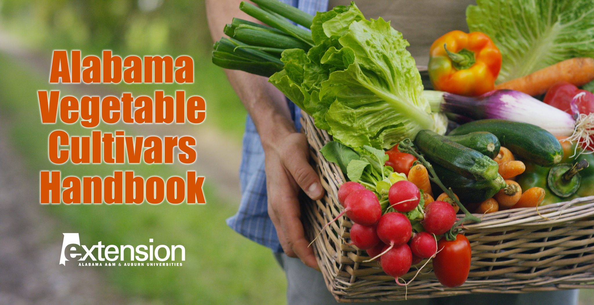 The words "Alabama Vegetable Cultivars Handbook" over an image of a basket with vegetables (cabbage, carrots, cucumbers, radish and peppers) in the hands of a farmer.