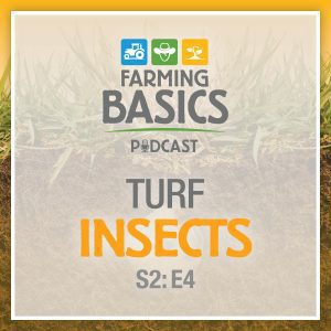 Farming Basics Podcast- Turf Insects