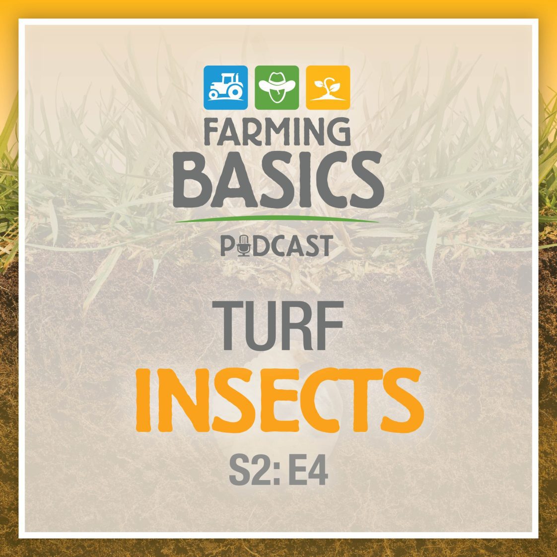 Farming Basics Podcast- Turf Insects
