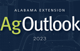 ag outlook 2023 graphic