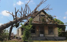 A house with storm damage and a tree on the roof. Renters in Alabama have renter's rights and responsibilities.