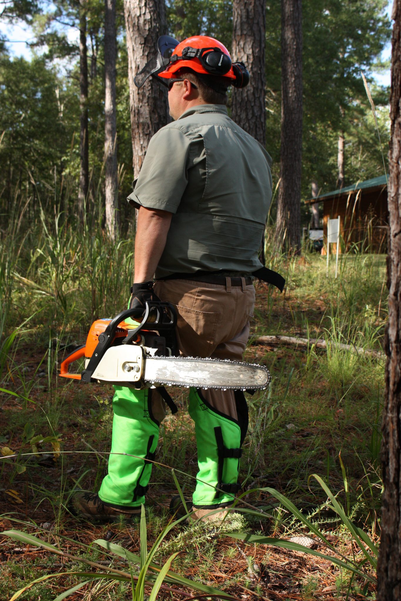 Chainsaw Safety Ergonomics Alabama Cooperative Extension System
