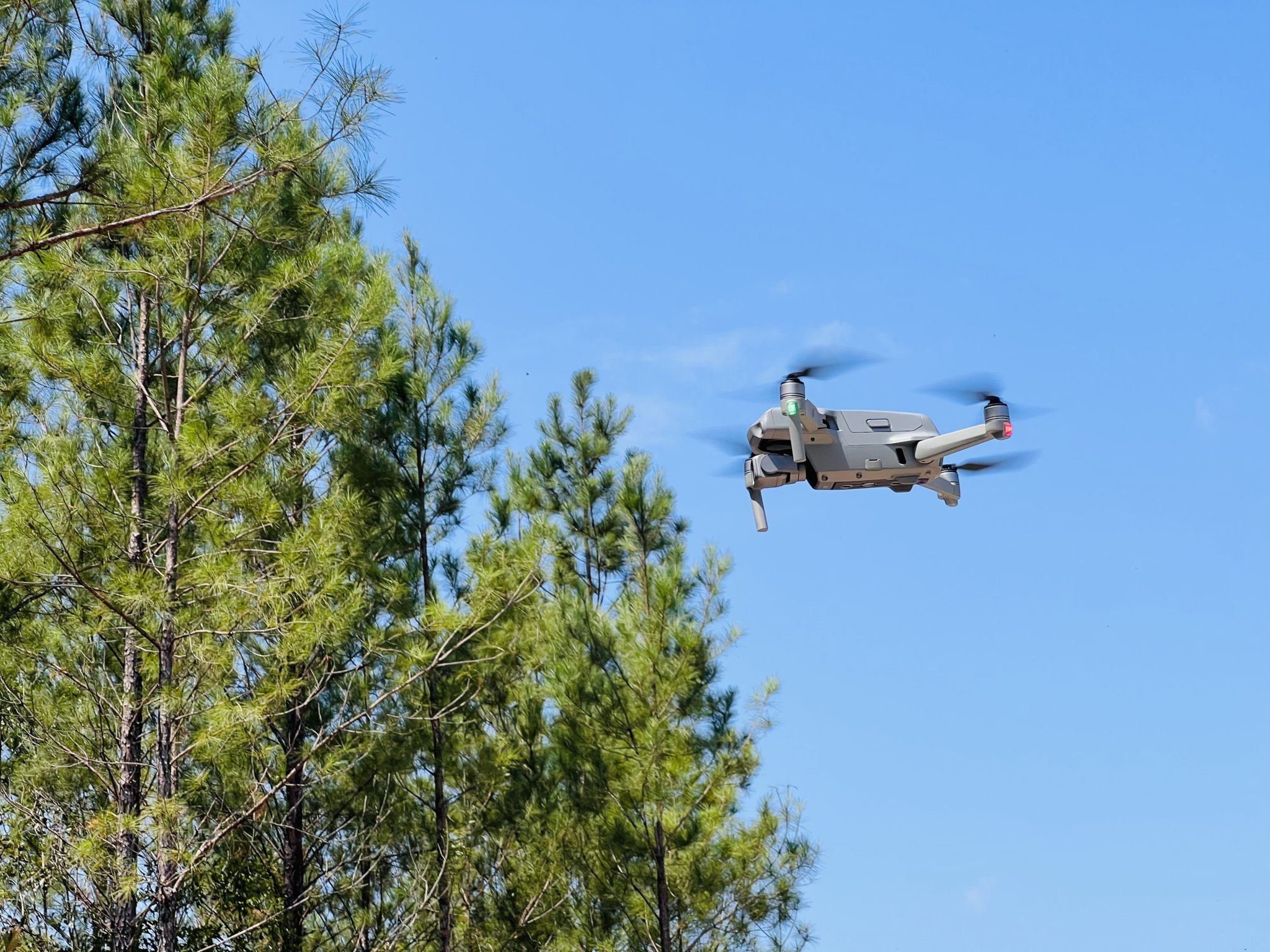 A drone flying near pine trees
