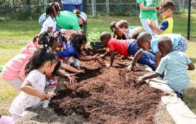 Children of multiple races planting in a raised bed