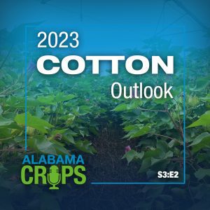Season 3 Episode 2 - 2023 Cotton Outlook