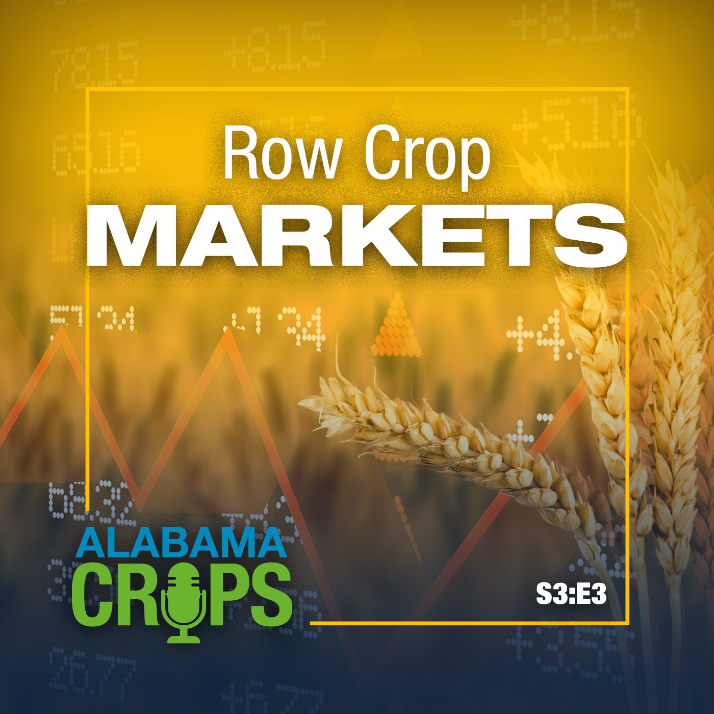 Season 3 Episode 3 – Row Crop Markets
