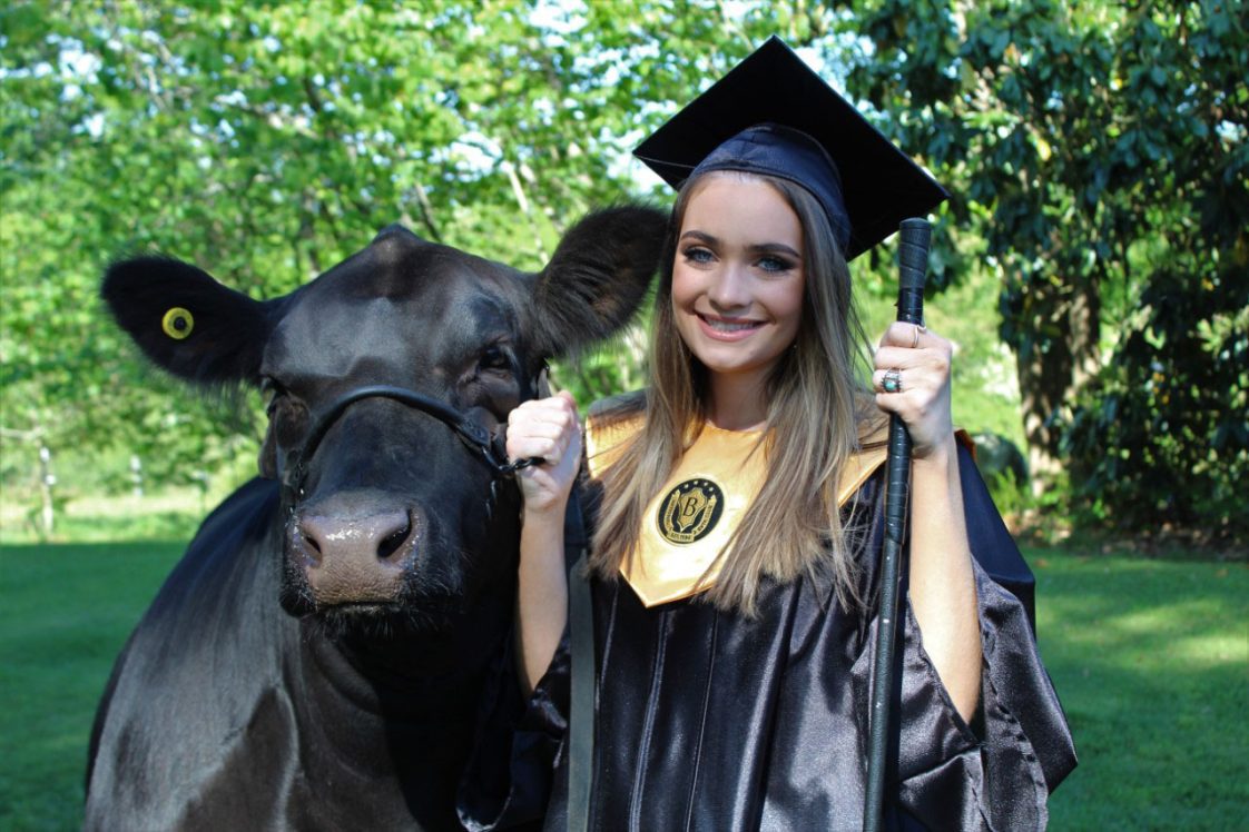 A 4-H member dressed in a high-school graduation cap and gown with her show heifer.