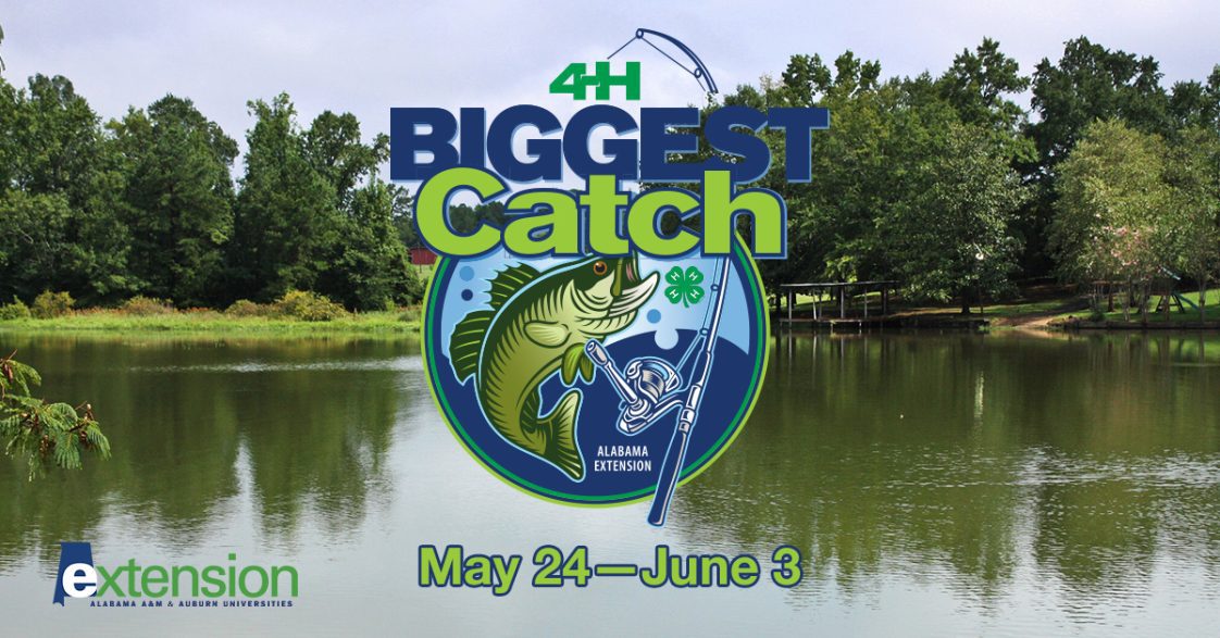 4-H Biggest Catch May 24 – June 3