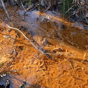 Figure 13. Orange water from naturally occurring iron floc.