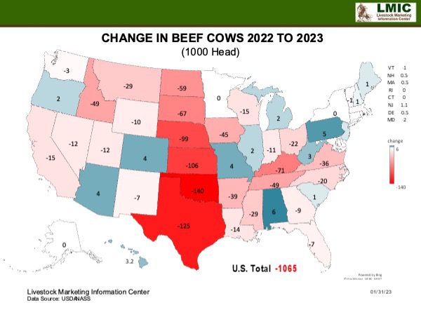 map depicting the change in number of beef cows