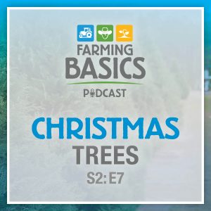 Farming Basics Podcast Season 2 Episode 7: Christmas Trees