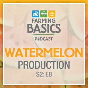 Farming Basics Podcast: Watermelon Production