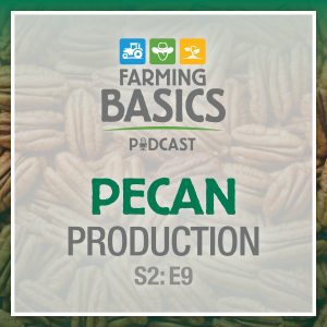 Farming Basics Podcast: Pecan Production