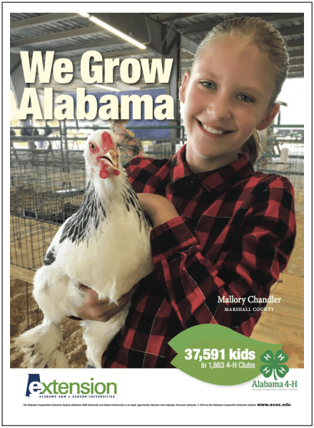 A magazine ad of a girl holding a chicken.