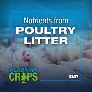 Season 3 Episode 7 - Nutrients from Poultry Litter