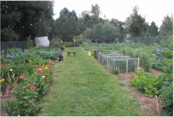 Figure 1. Community gardens can be used to grow edible and ornamental crops. Source: Cheyenne Botanic Gardens 2017.